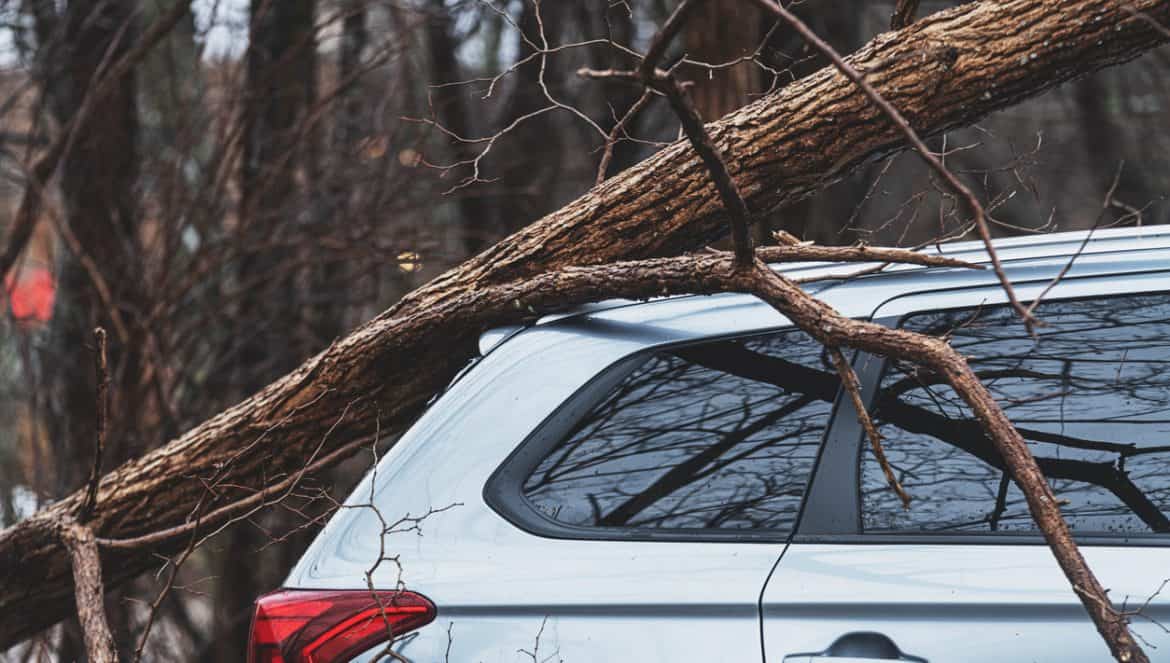 A tree has fallen on an suv during an intense Winter rainstorm.