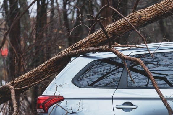 A tree has fallen on an suv during an intense Winter rainstorm.